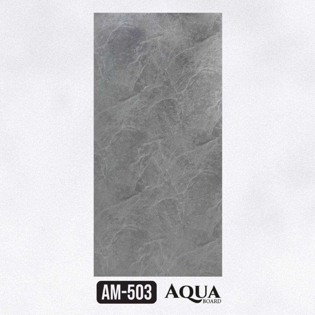 AM503